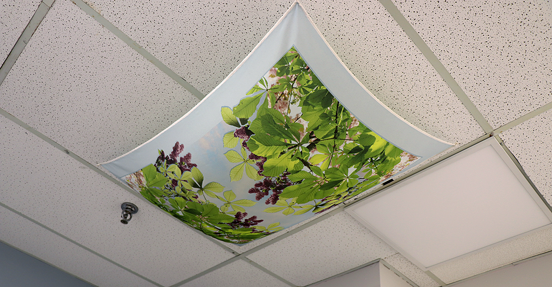Pictured: Custom-designed canopies now hang above each examination area in the QEII’s Gynecoloscopy Clinic, replacing worn-out ceiling posters. During a colposcopy, patients may close their eyes, look at the soothing canopies, or view their examination on a high-definition live feed screen attached to the new donor-funded colposcopes. 