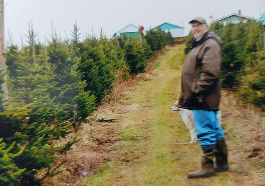 A man stands amongst trees on a Christmas tree farm. 