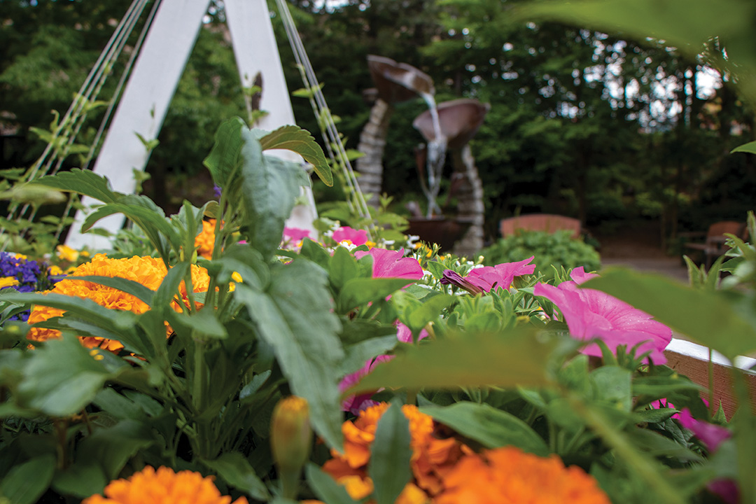 A close up photograph of bright yellow, pink and purple flowers in bloom, surrounded by greenery. A larger-than-life fountain is out-of-focus in the background, the water flows from three cups in the shape of poppies.