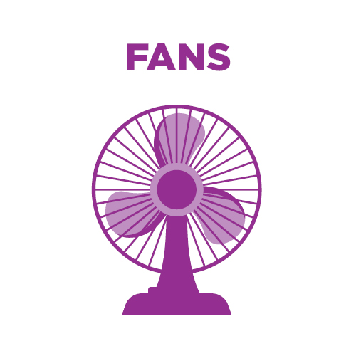 Fan