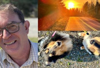 Carl Fraser from Stewiacke, Nova Scotia, his two rough collies and a view from Carl's daily morning walk. 