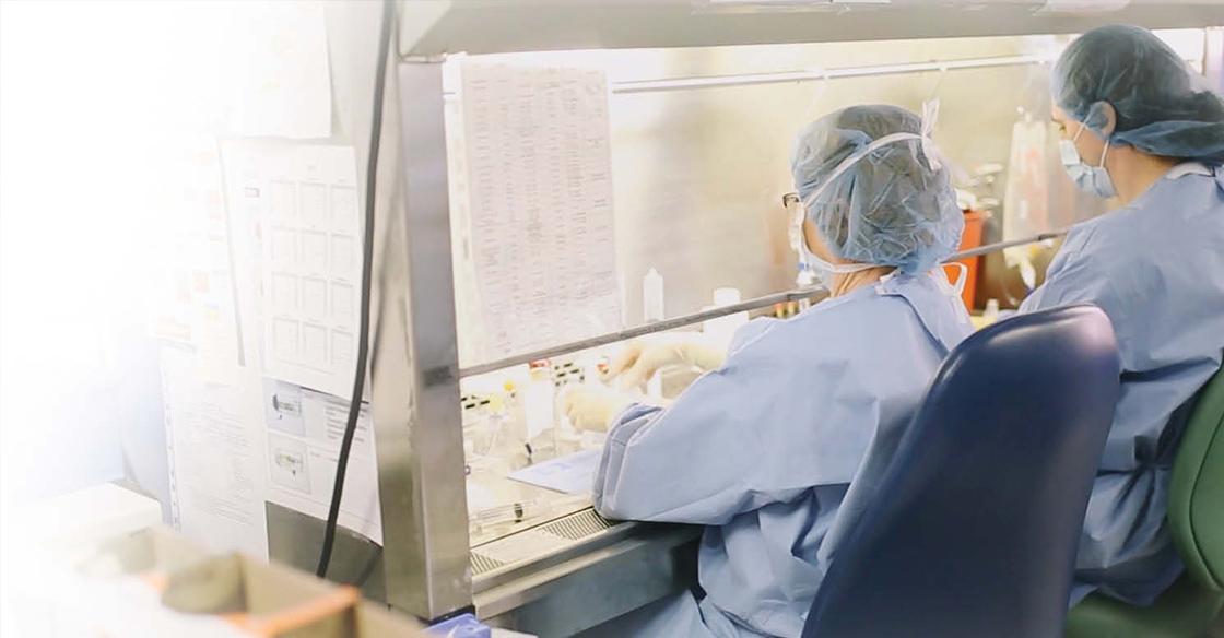 Cancer therapy preparation lab