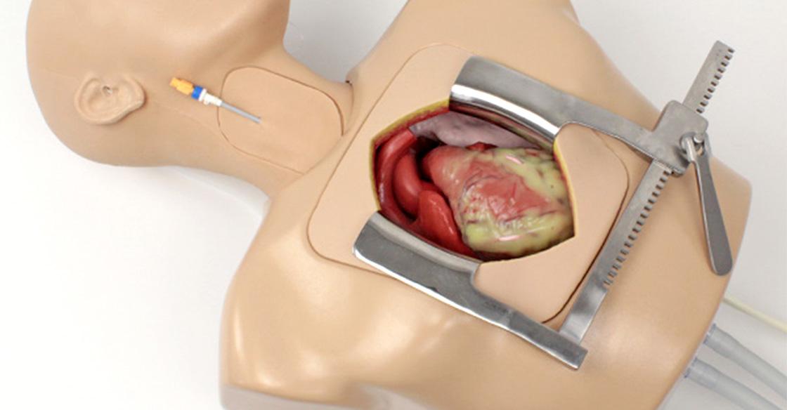 A medical manikin with an open chest and artifical heart laying on a table