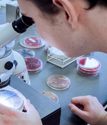 A research assistant examines DNA through microscope