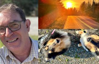 Carl Fraser from Stewiacke, Nova Scotia, his two rough collies and a view from Carl's daily morning walk. 