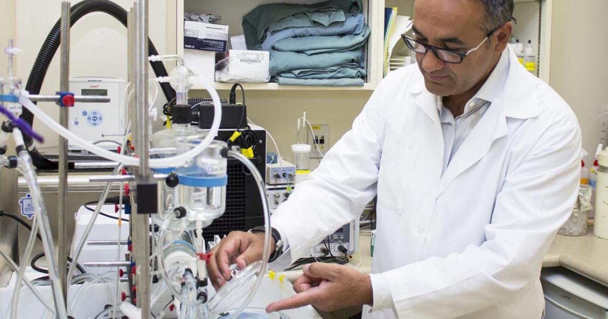 Endowed Research Chairs QEII Foundation