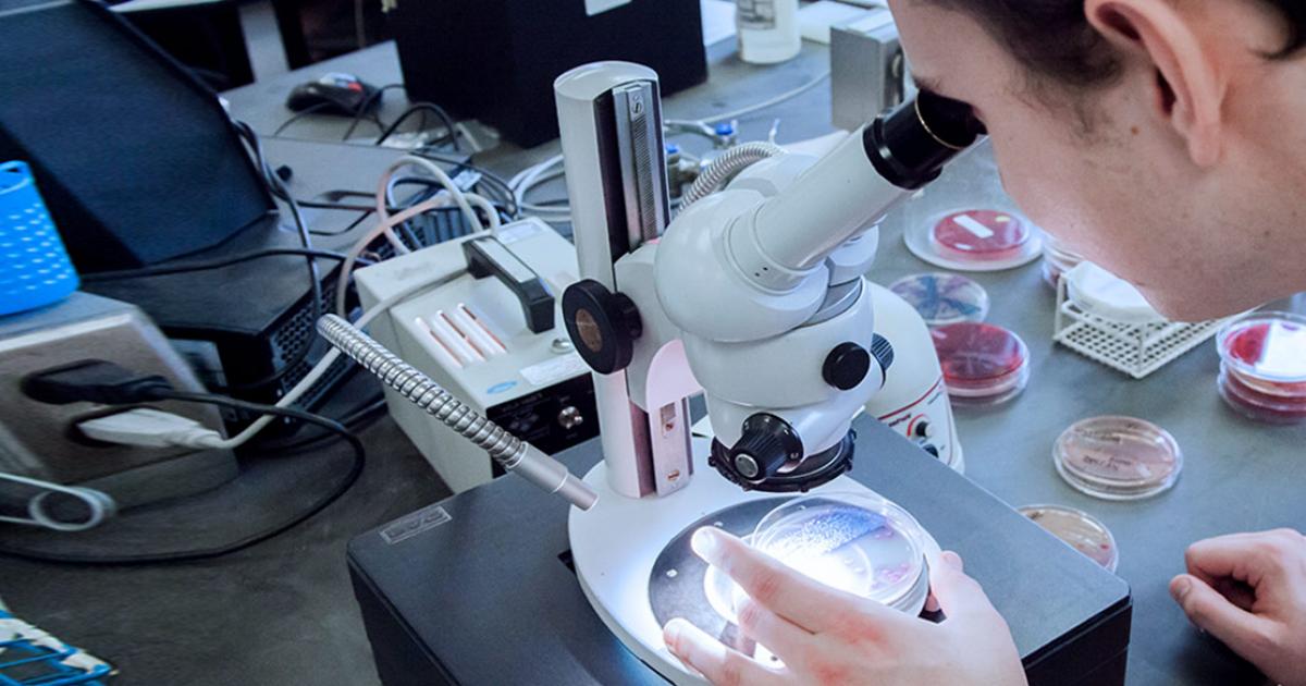 Endowed Research Chairs QEII Foundation